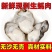 【高品质】新鲜生蚝肉鲜活现剥去壳海鲜即食原浆海蛎子牡蛎肉