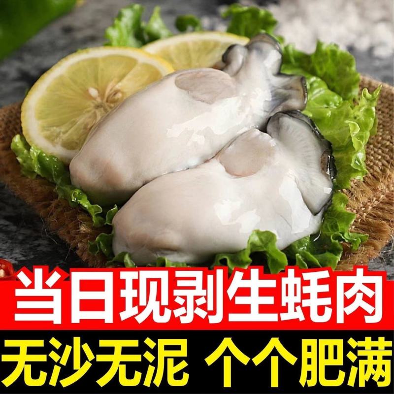【高品质】新鲜生蚝肉鲜活现剥去壳海鲜即食原浆海蛎子牡蛎肉