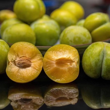 贵州省安顺市镇宁县六马峰糖李