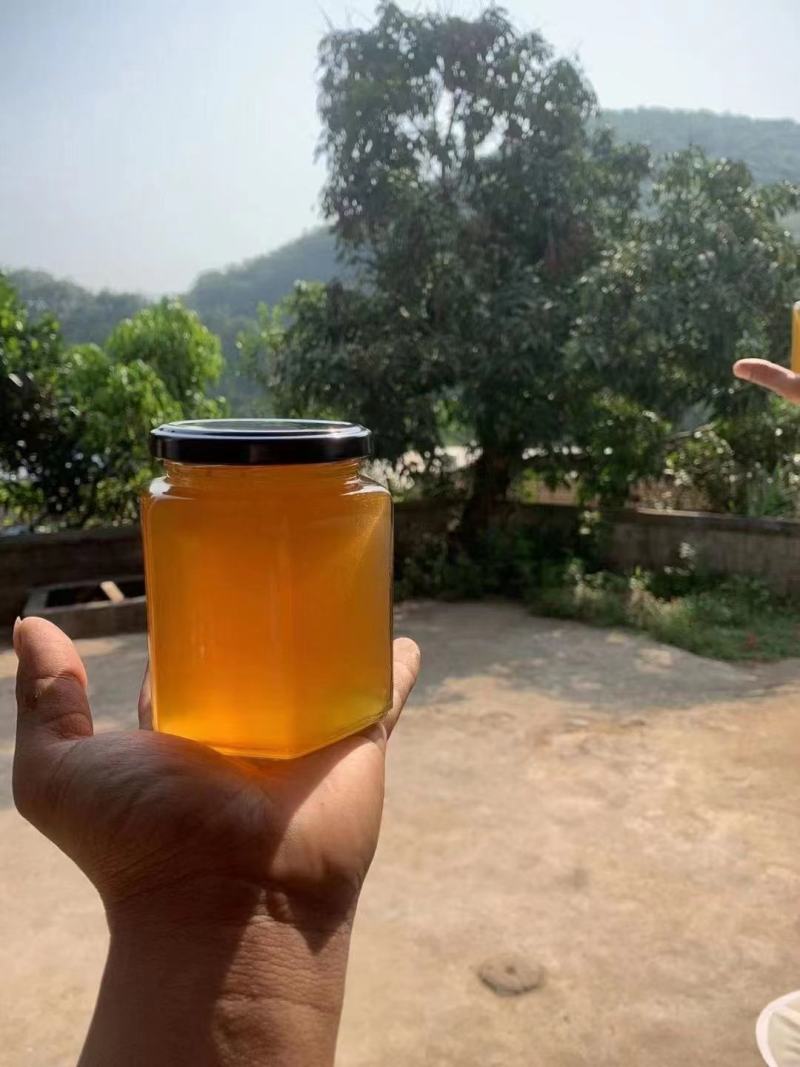 西双版纳原始森林野生蜂蜜现货欢迎订购