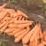 【胡萝卜】精品三红胡萝卜山东潍坊青州市大量供应现挖现发