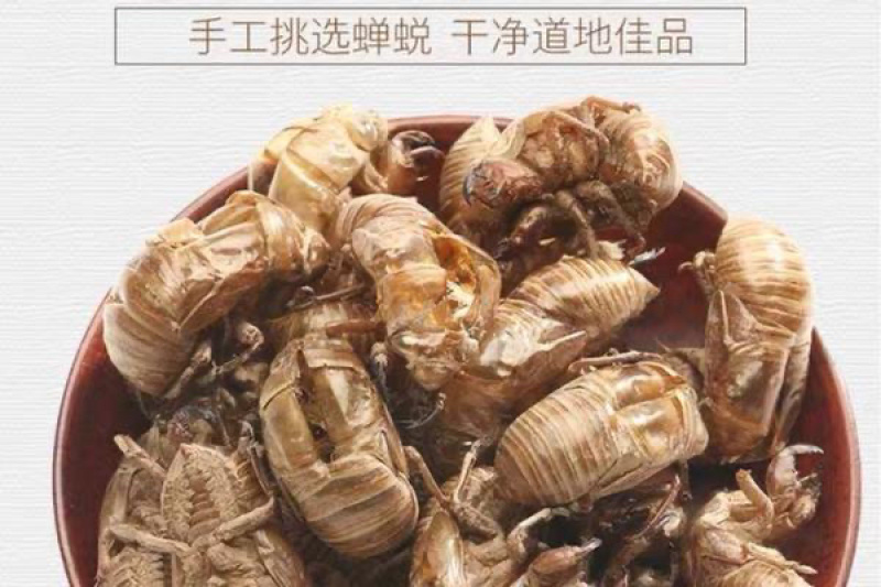 蝉蜕蝉衣金蝉知了皮水洗净货规格齐全量大从优
