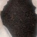 【紫娟普洱红茶】产地直销、品质保证，货源充足，具有降压、