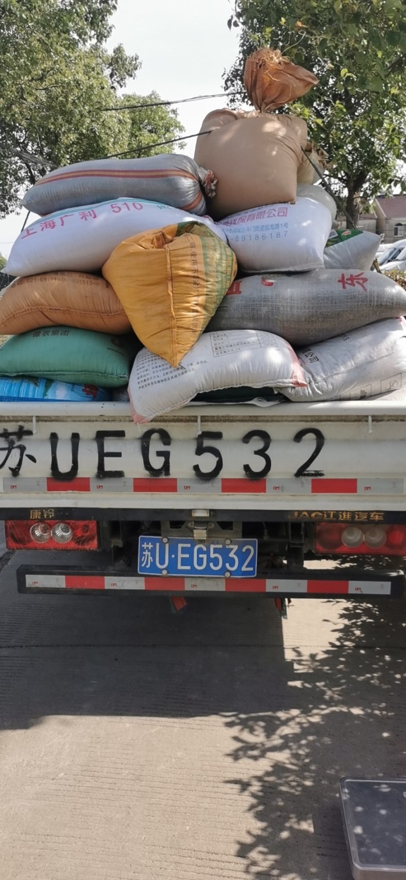 苏州油菜籽