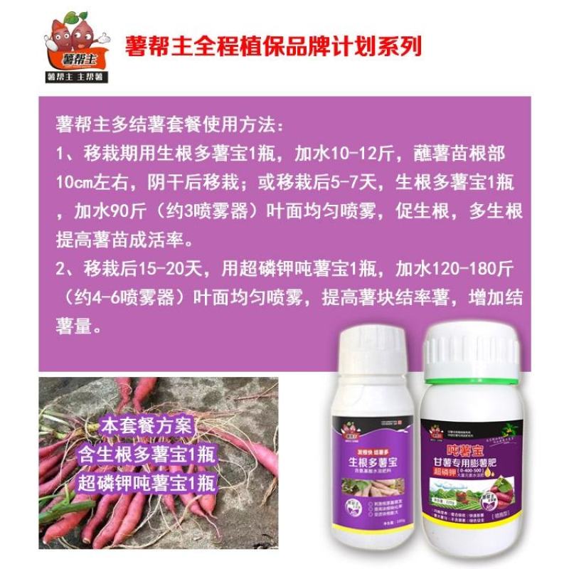 红甘薯地瓜膨大薯帮主磷钾吨薯宝生根剂膨薯肥