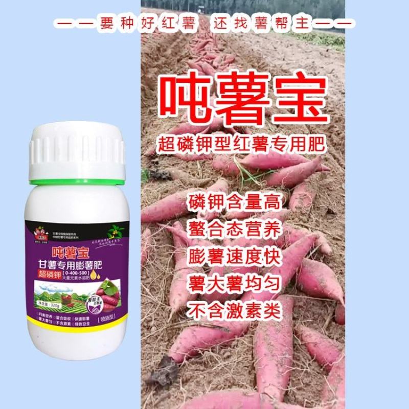 红甘薯地瓜膨大薯帮主磷钾吨薯宝生根剂膨薯肥