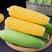 云南保山甜玉米，水果玉米，绿色食品无添加，无公害。