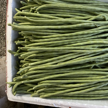 本地甜豆角大量上市，品种多随意配货……