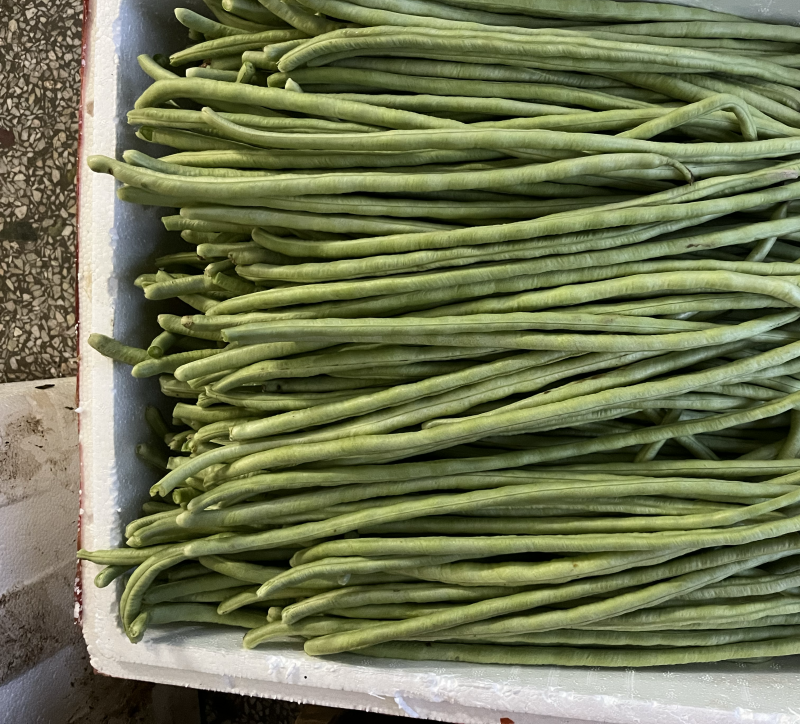 本地甜豆角大量上市，品种多随意配货……