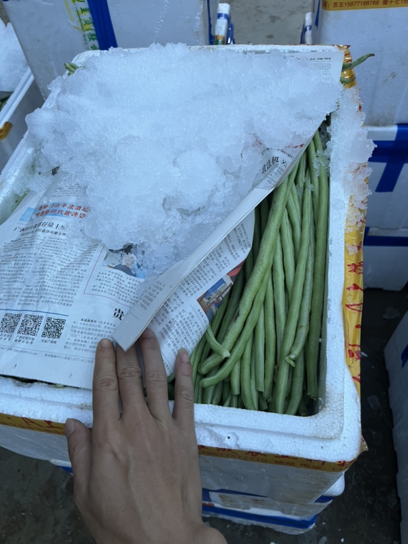 本地甜豆角大量上市，品种多随意配货……