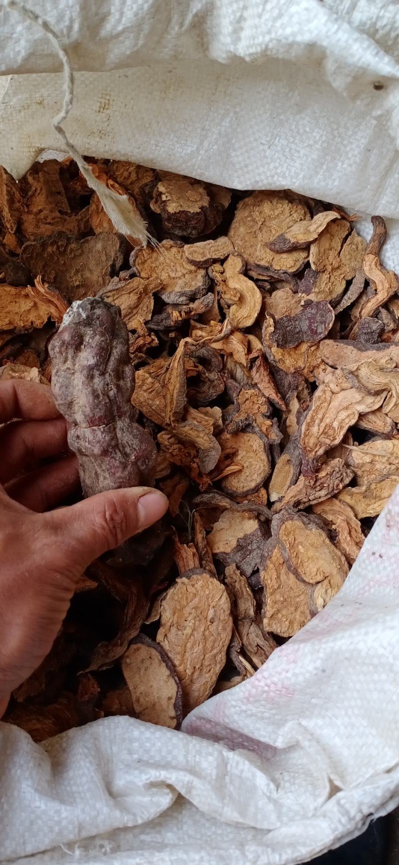 何首乌，人工切片，自然晒干，非人工种植