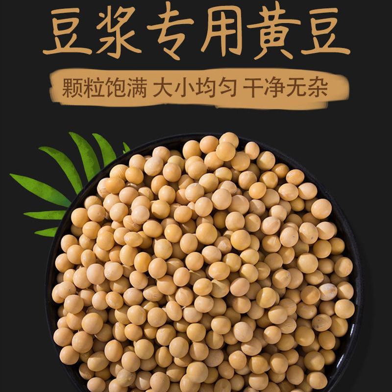 现磨熟黄豆粉即食黄豆粉熟黄豆面驴打滚滋粑黄豆面黄豆粉