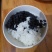 乌米饭宜兴特产5斤装乌饭草南烛叶浸泡白糯米制作乌米粽子
