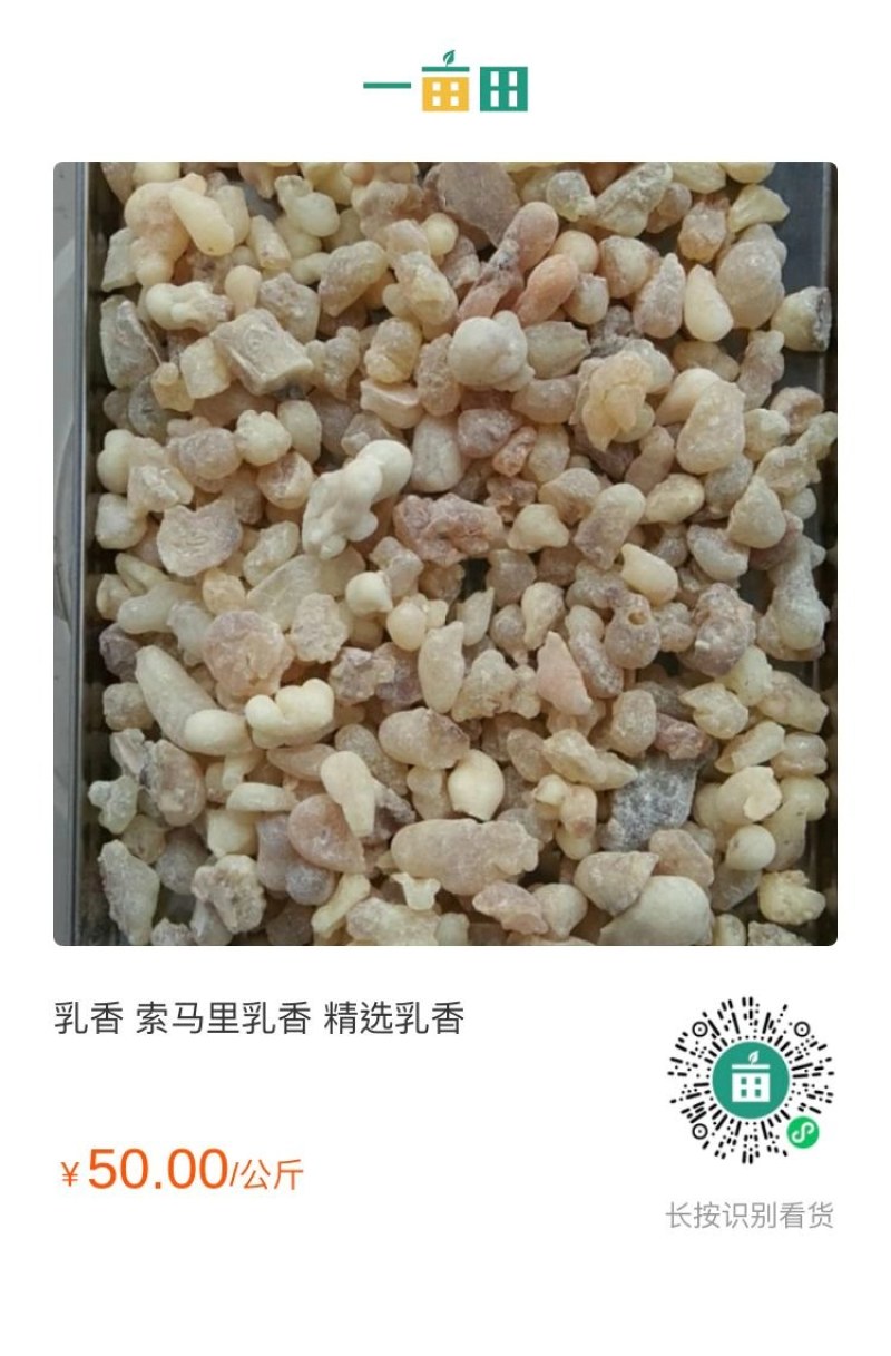 乳香索马里乳香精选乳香含量高，一带一路助非州