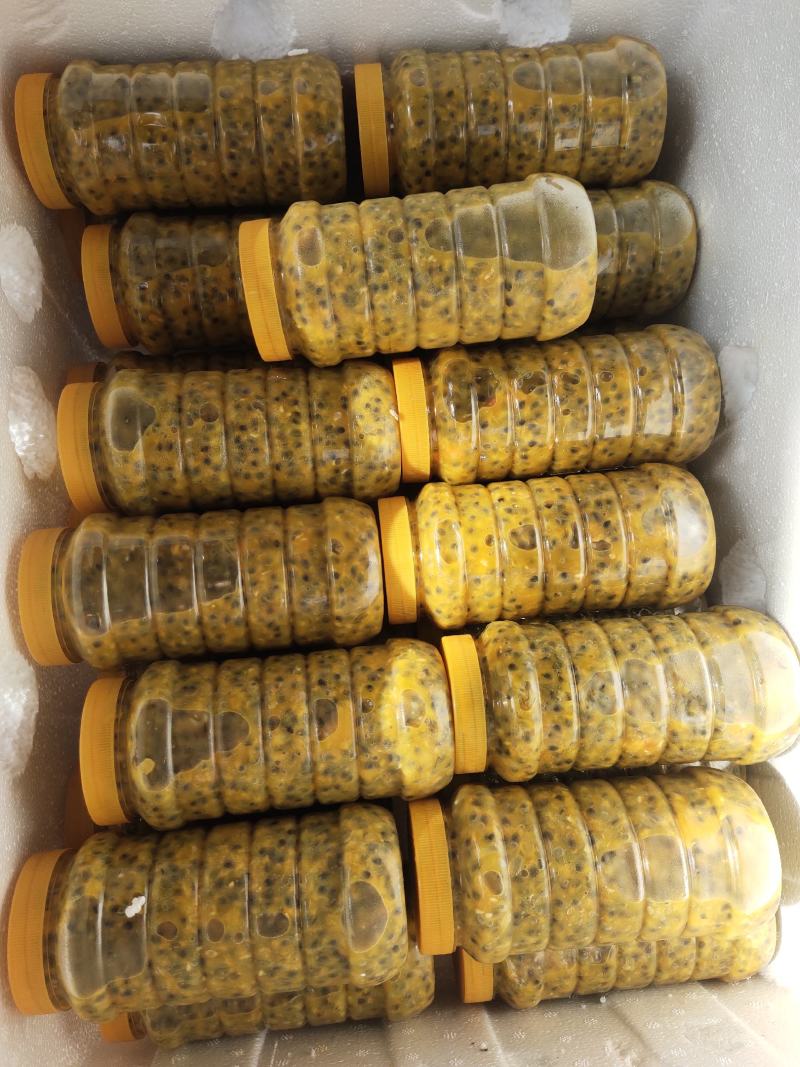 广西紫果百香果原浆，手工挖取，零添加，一件代发