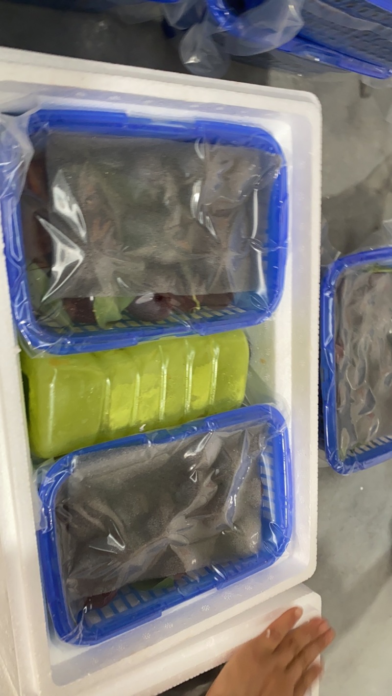 云南高山杨梅上市了，需要的老板可以下单了：可提供工厂货