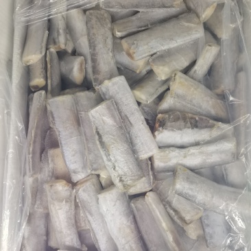 刀鱼段