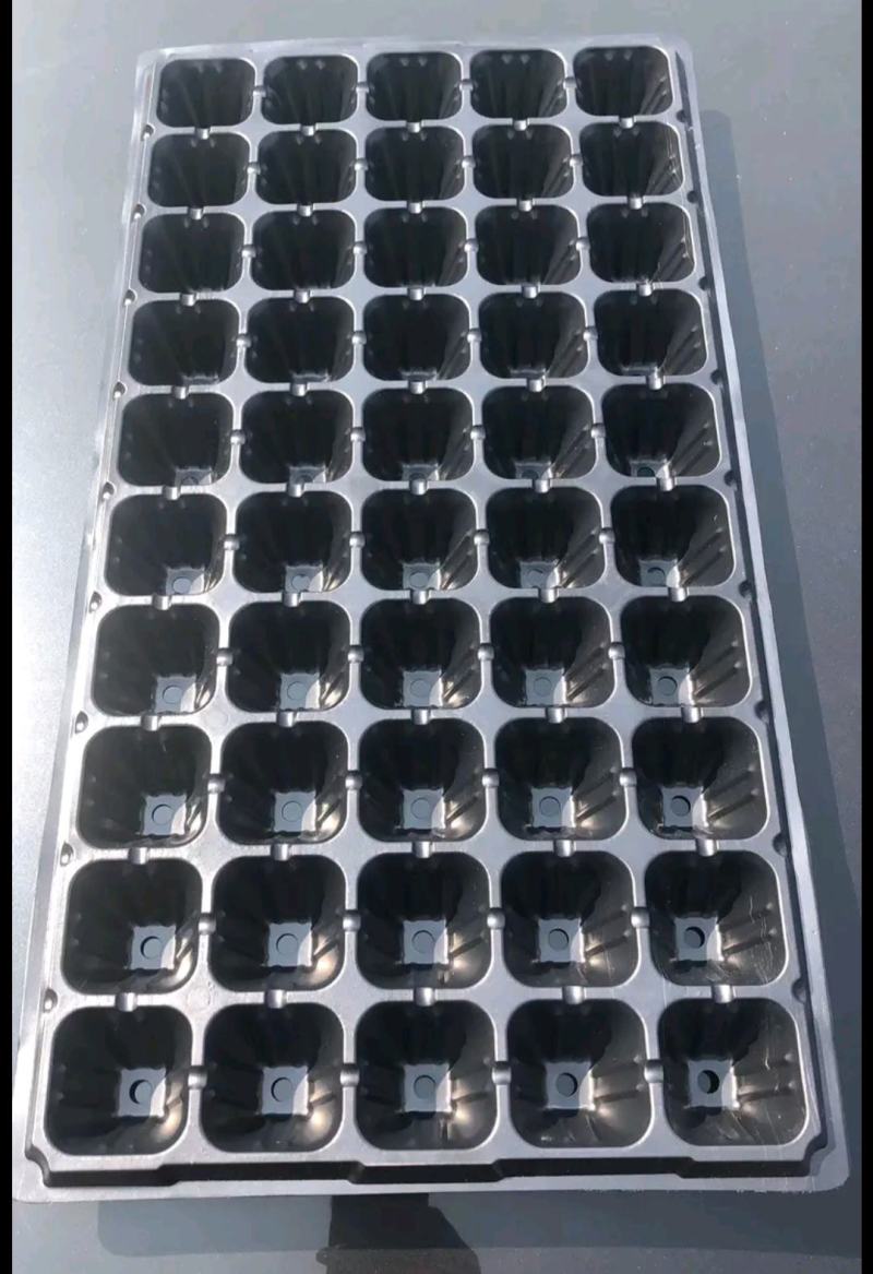 育苗穴盘水果蔬菜育苗盘育秧盘水稻育秧盘厂家直发