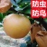 纸梨套袋桃子套袋葡萄套袋