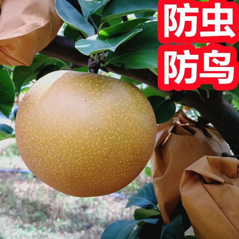 纸梨套袋桃子套袋葡萄套袋