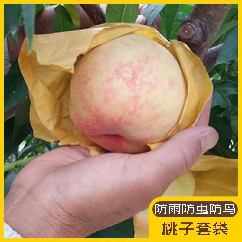 纸梨套袋桃子套袋葡萄套袋