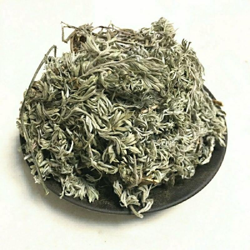 今年新货中药材因陈茵陈中药材茵陈茶茵陈批发