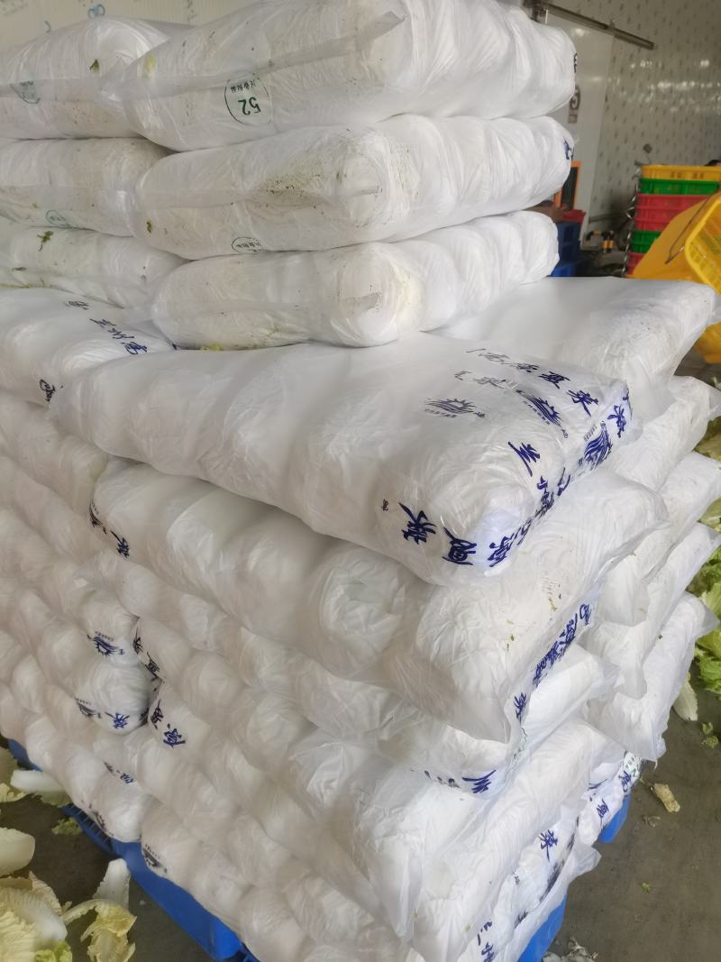 精品娃娃菜，常年供应各种蔬菜，量大从优，欢迎来电