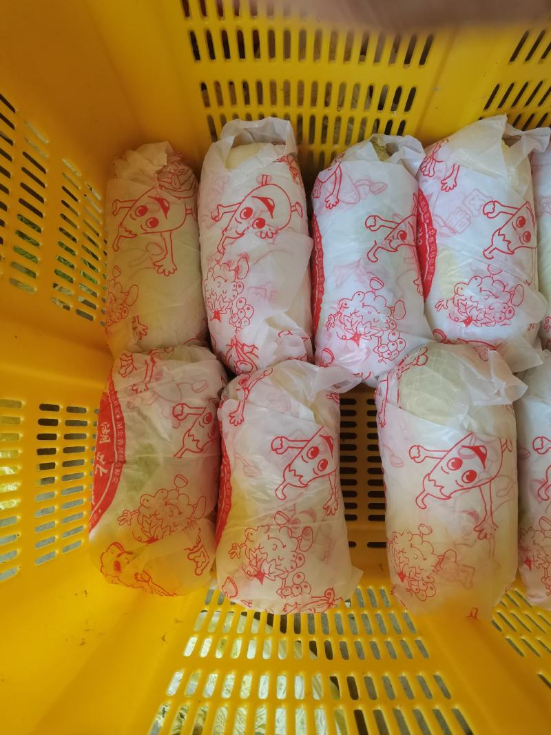 精品娃娃菜，常年供应各种蔬菜，量大从优，欢迎来电