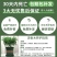 清香木盆栽正宗驱蚊草室内花卉绿植除甲醛净化空气植物提神胡