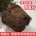 清香木盆栽正宗驱蚊草室内花卉绿植除甲醛净化空气植物提神胡