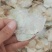 木蝴蝶