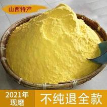 5斤大黄米面油糕面年糕炸糕面黍子面粘黄米黏黄米面现磨现发