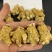 加拿大进口西洋参精选粒头花旗参可切片可磨粉大粒头批发
