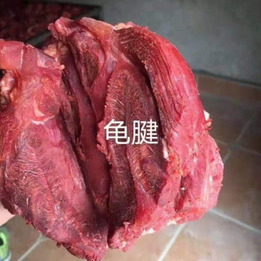 牛肉味，龟腱，条形肉，前腱，后腱，小腱，中腱，各种腱子肉