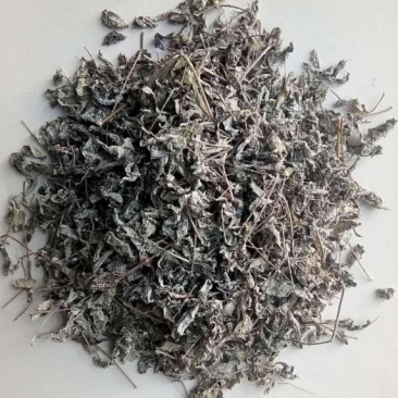 白茶