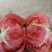 河南沙瓤番茄甜，个大，味好，需要的老板联系。