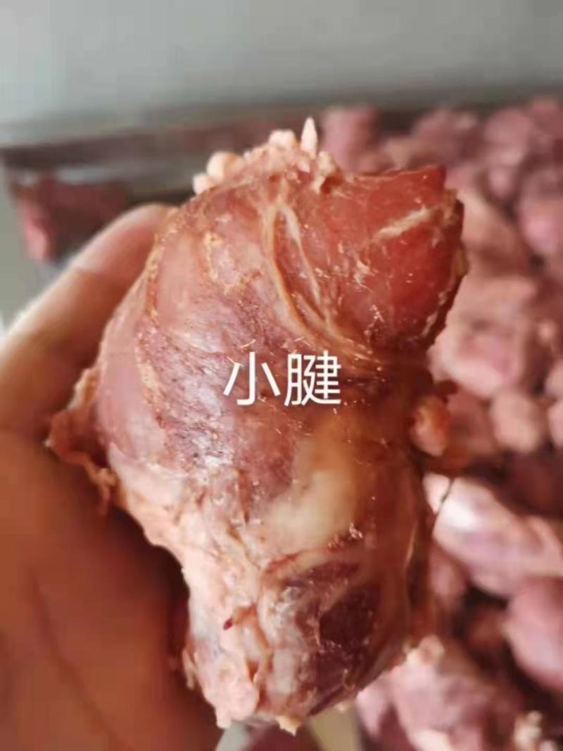 牛肉味，龟腱，条形肉，前腱，后腱，小腱，中腱，各种腱子肉