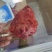 牛肉味，龟腱，条形肉，前腱，后腱，小腱，中腱，各种腱子肉