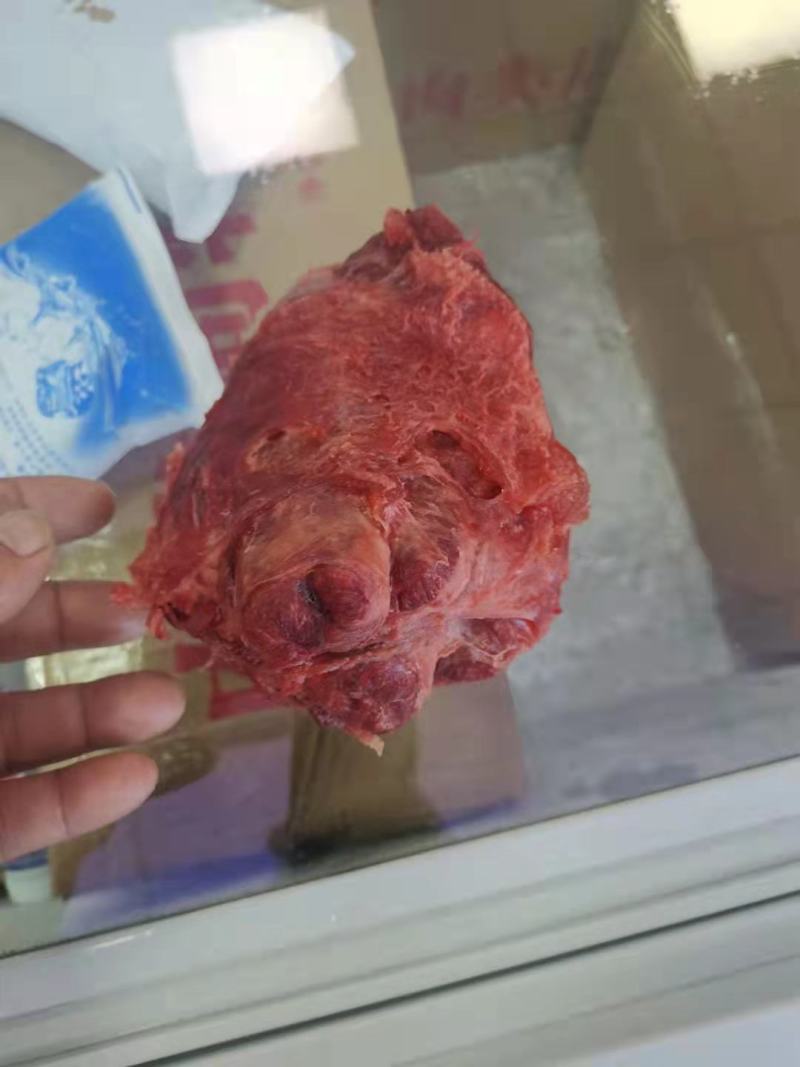 牛肉味，龟腱，条形肉，前腱，后腱，小腱，中腱，各种腱子肉