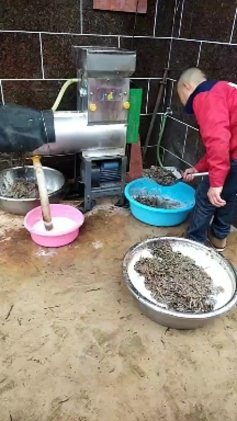 高山野生蕨根粉，农家自制量大从优