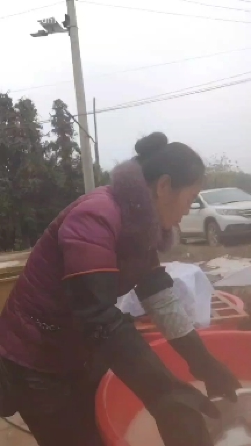 高山野生蕨根粉，农家自制量大从优