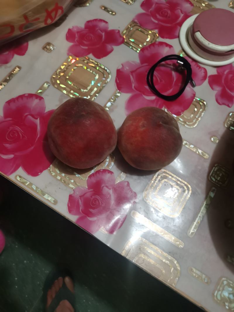 陕西毛桃，品种多，大量有货，口感好，糖度高，保质保量