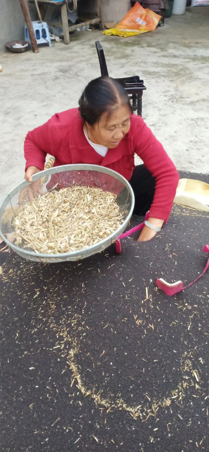云南罗平县油菜籽35左右，货源稳定，接受长期合作，