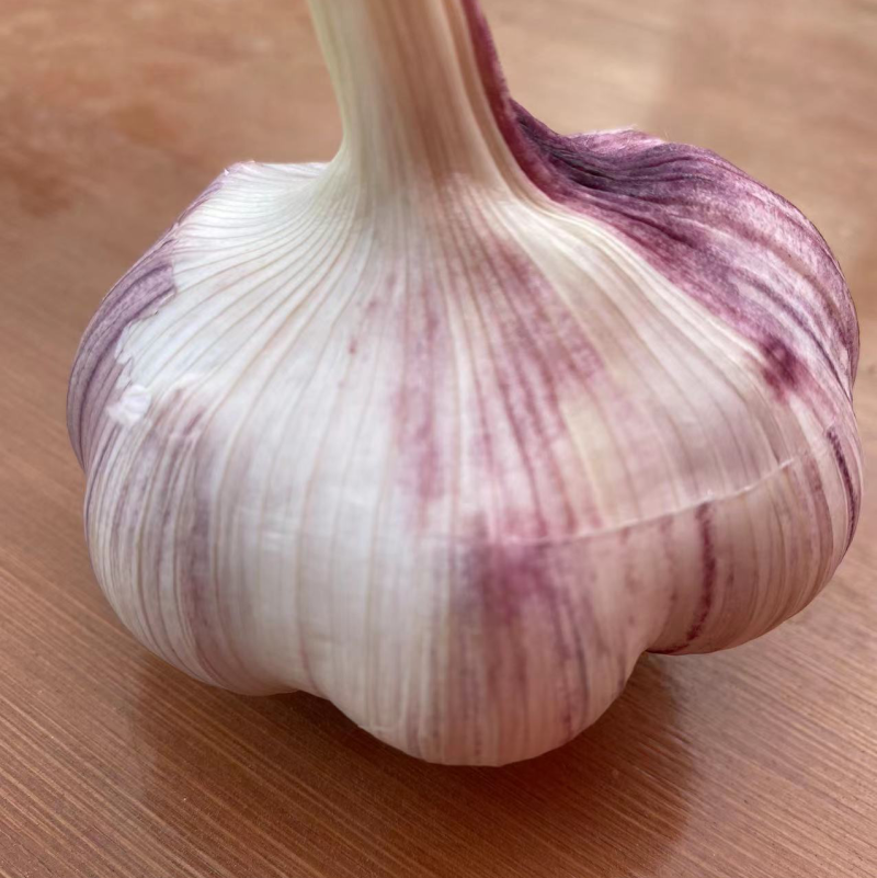 主产紫皮精品大蒜