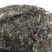 2021年春巴达山生态大树茶，头春头采，正山正寨