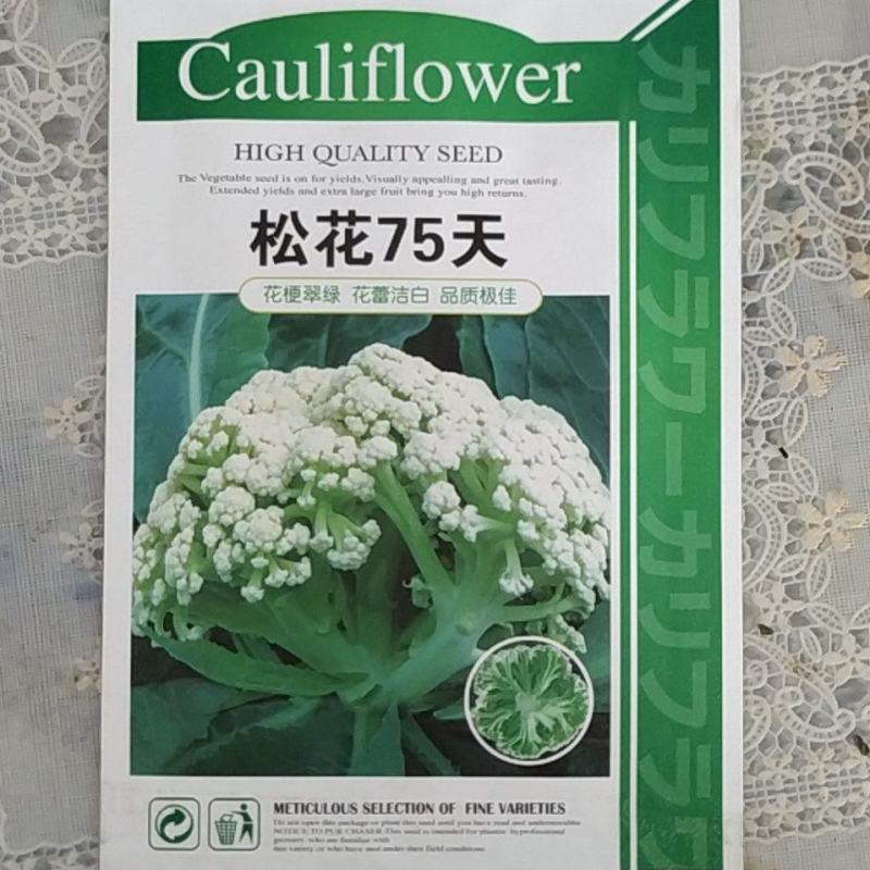 松花75菜花种子花球较松散抗逆性强耐热耐湿春秋均可种植雪