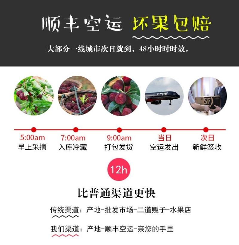 杨梅，酸甜可口，颗颗饱满