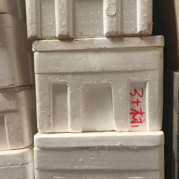 泡沫箱