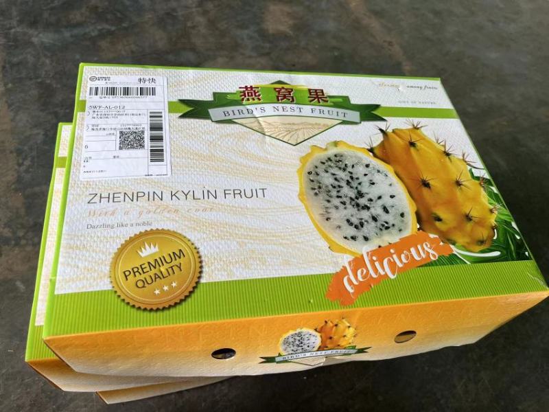 海南三亚燕窝果批发代发精品礼盒装清甜可口
