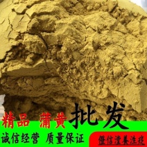 中药材正品蒲黄生蒲黄蒲黄粉另有炒蒲黄粉野生新